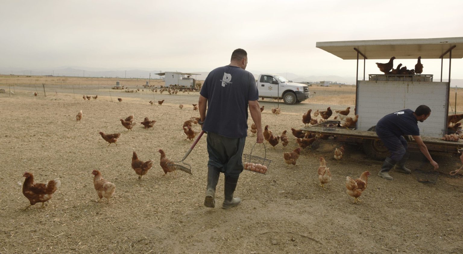 Central California County Jail Saves Over $1M Through Inmate Farming Program