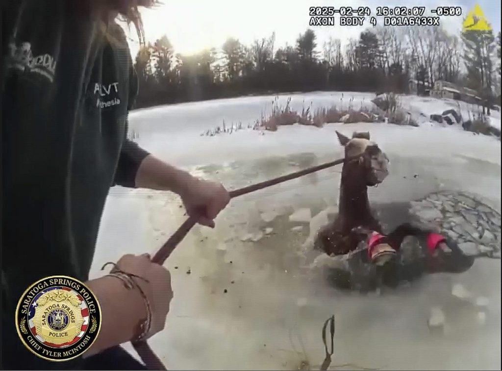 Horse Saved from Frozen Pond in Upstate New York