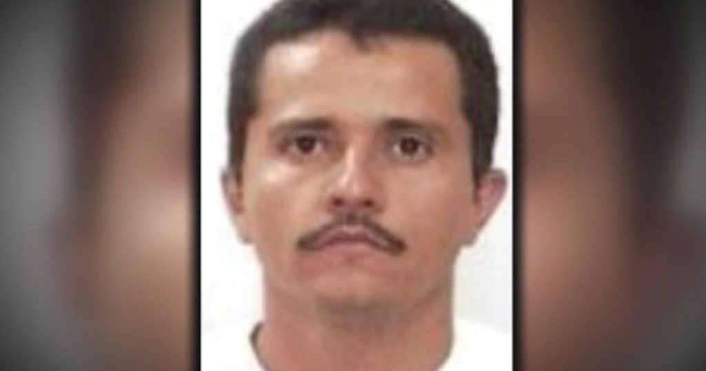 Cartel Leader's Wife, Linked to $15 Million U.S. Bounty, Released from Mexican Prison