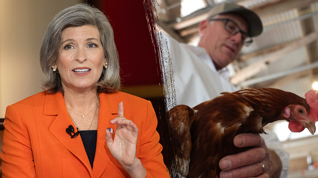 Bipartisan Senate Pushes for Urgent Action on Virus Crisis