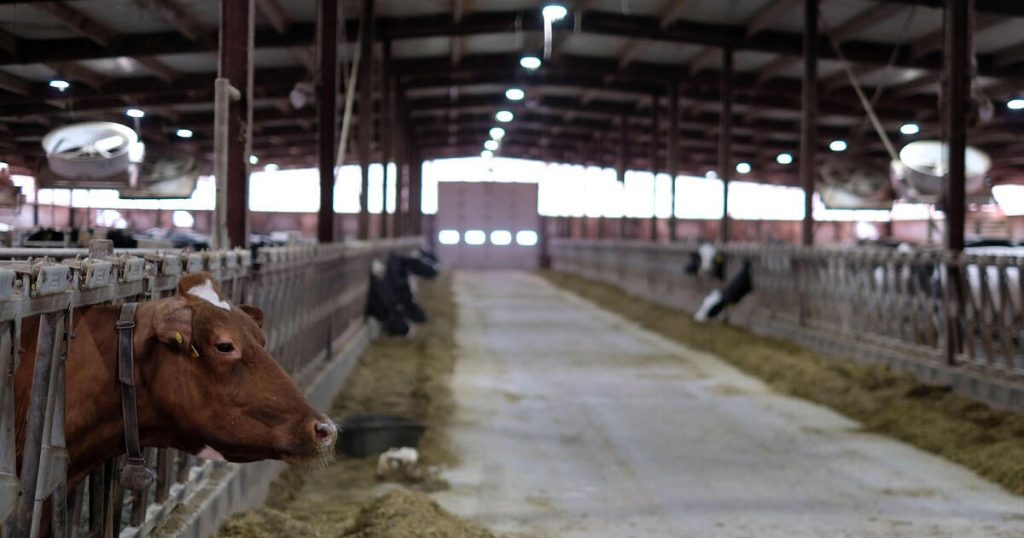 Dairy Farmer Warns Trump's Deportation Plan Could Threaten Livelihood
