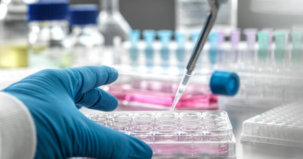 Federal judge blocks Trump administration cuts to medical research funding