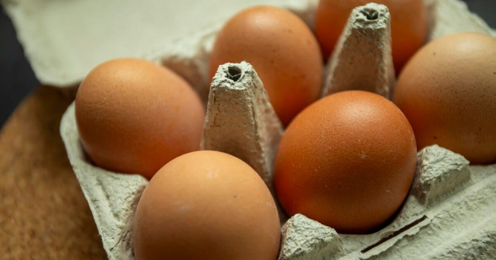 U.S. Weighs Increased Egg Imports as Prices Surge