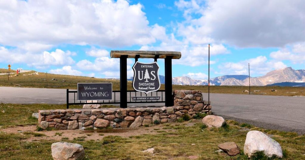 Potential Unintended Consequences of U.S. Forest Service Budget Cuts, According to Former Employees