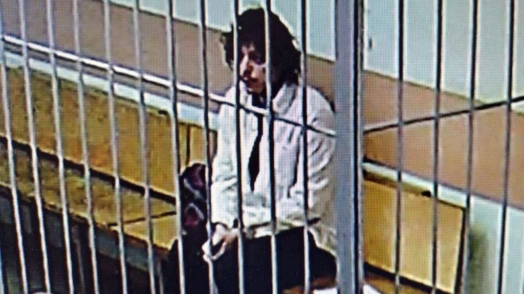 Russia frees US citizen detained on drug smuggling charges amid talks between Moscow, DC