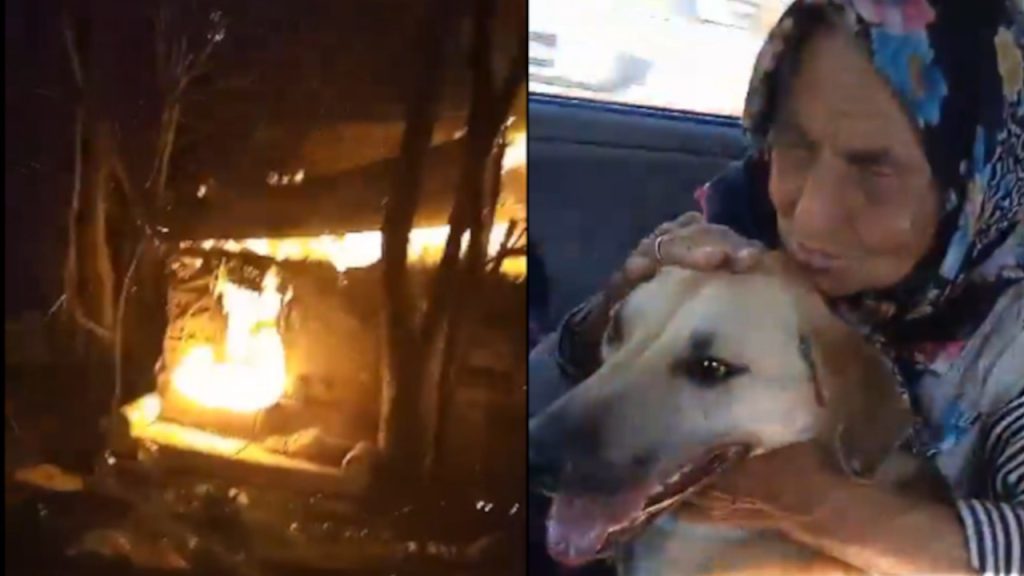 Elderly Woman Dies in Suspicious Fire After Social Media Targeting Over Dog Feeding