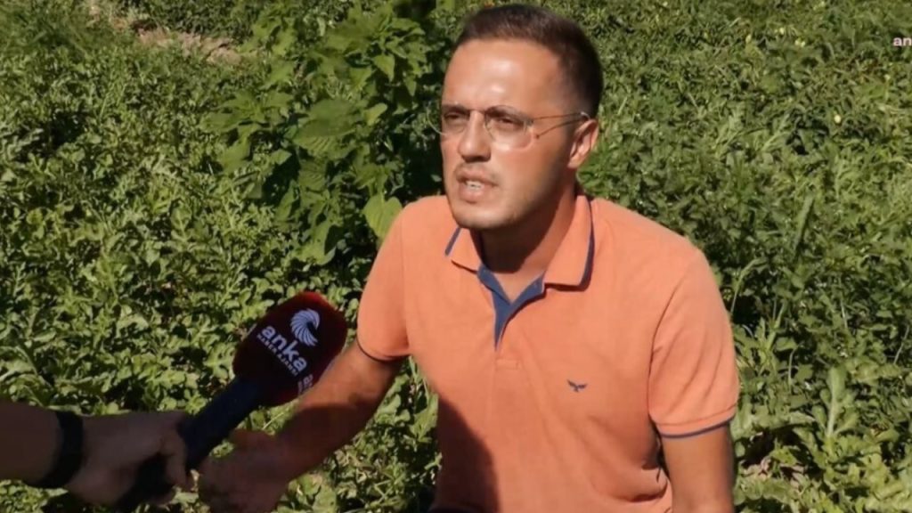Turkish Farmer Charged for Criticizing Tomato Prices Amid Political Tensions