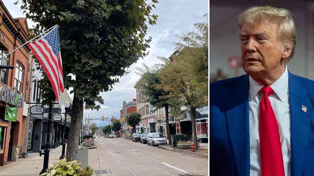 Pennsylvania Man Pleads Guilty to Harboring Illegal Immigrants Amid Haitian Influx