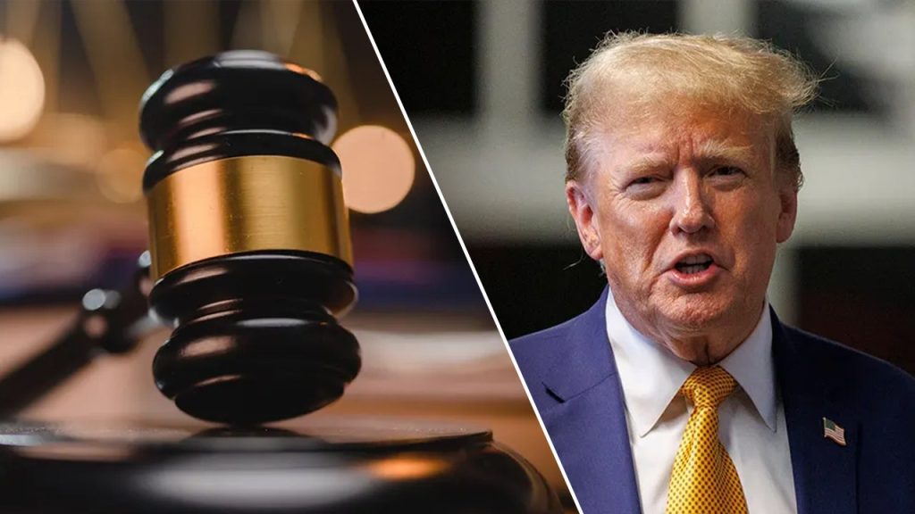 Judges Issue Injunctions Against Trump's Key White House Initiatives