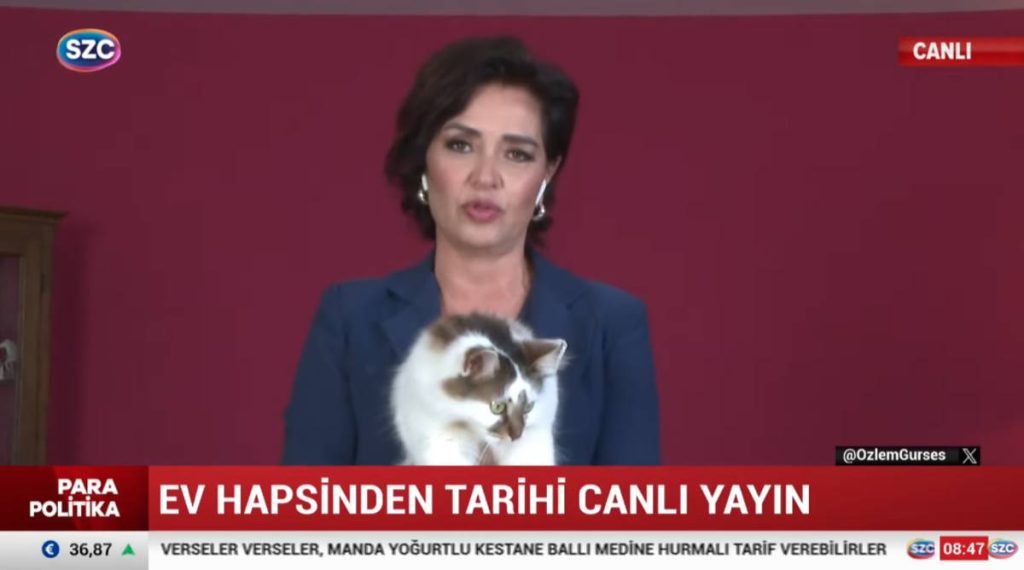 TV anchor Özlem Gürses released from house arrest after 52 days
