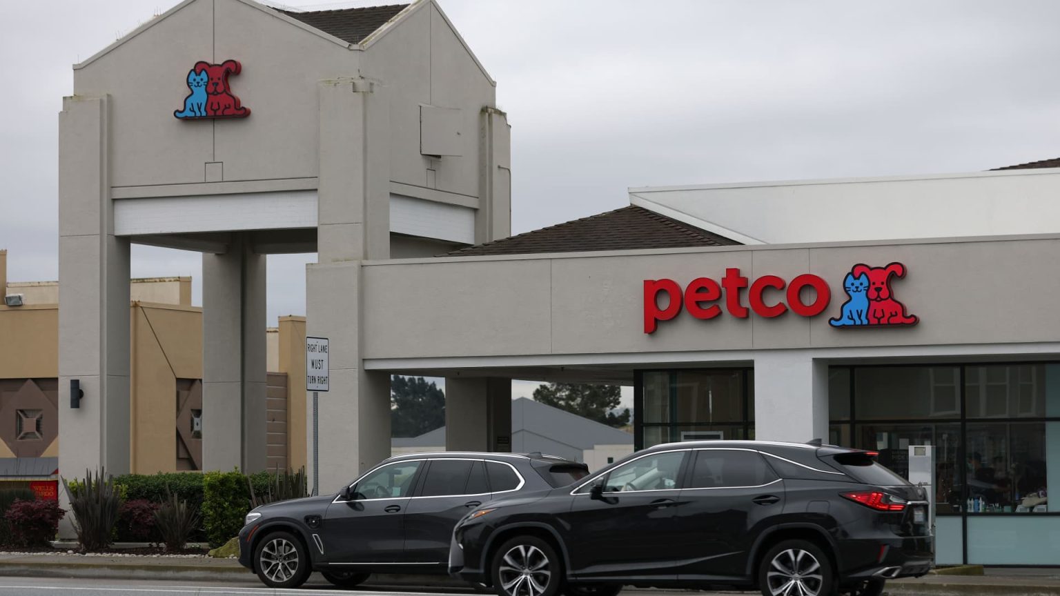 Market Highlights: GM, WOOF, GME, BABA, and CAVA Show Mixed Performance