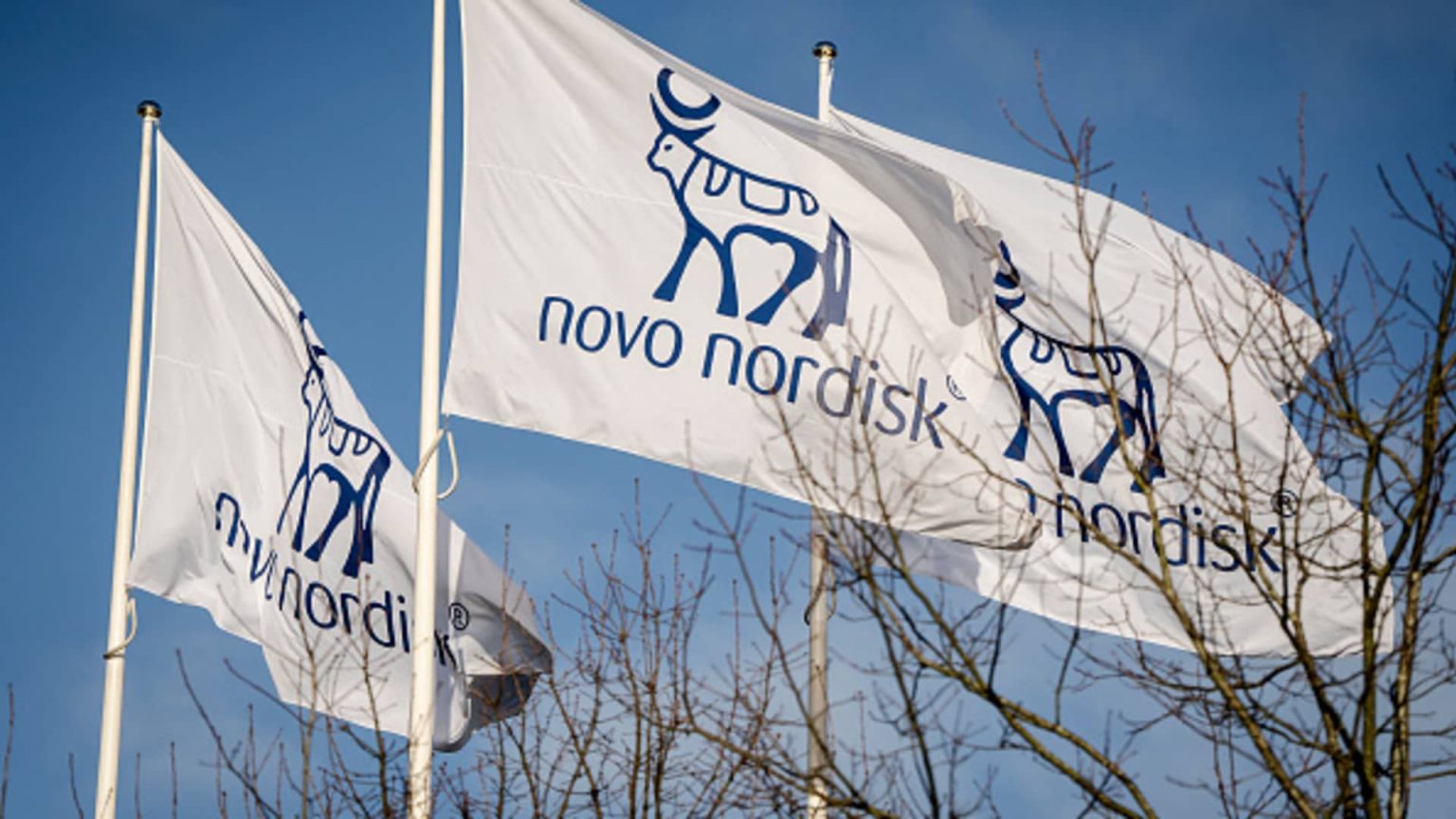 Novo Nordisk's Diabetes Pill Rybelsus Reduces Cardiovascular Risk