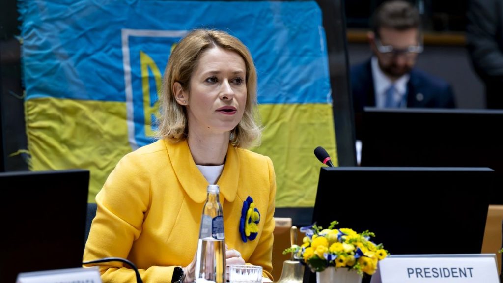 Kallas Proposes €40 Billion Military Aid Plan for Ukraine