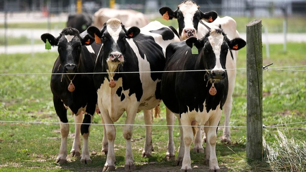 Thousands of Animals Culled Following Foot-and-Mouth Disease Outbreak in Hungary and Slovakia