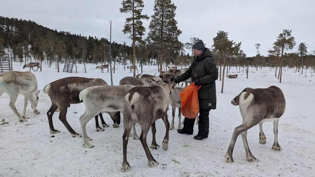 Sámi Reindeer Herders Challenge Stereotypes to Promote Ethical Tourism
