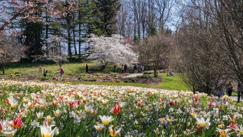 Spring Travel Guide: Top European Destinations for Festivals, Island Sun, and City Breaks