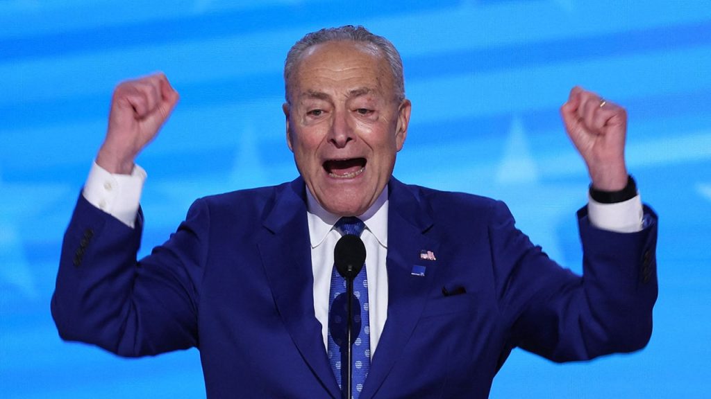 Dems Struggle to Identify Democratic Party Leadership