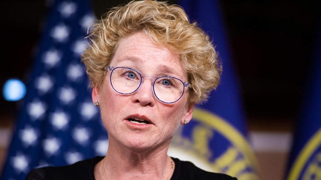 Signal Slip-Up Sparks Discussion Among Congressional Democrats