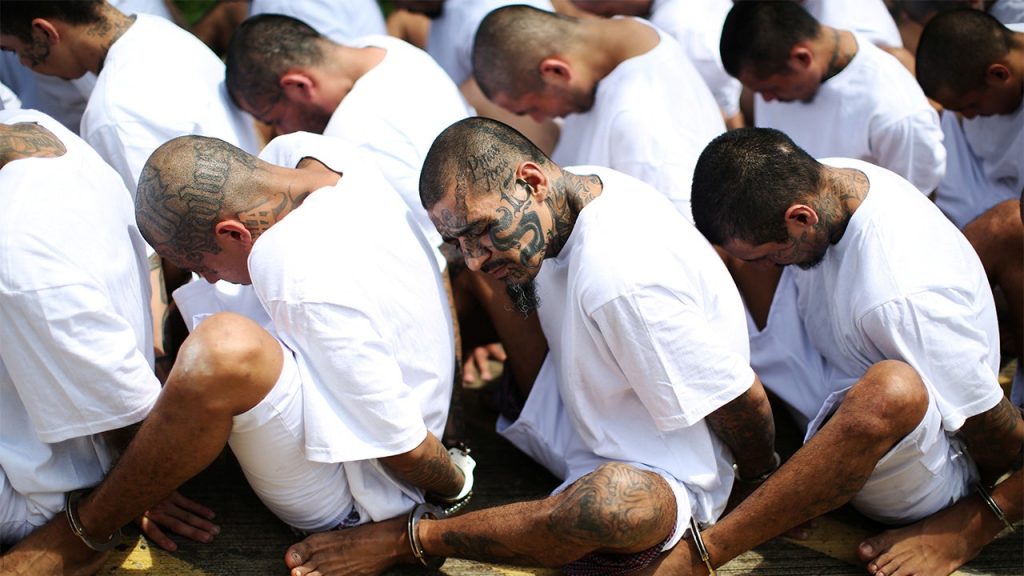Sanctuary Policies Linked to Rise of Latin American Gangs, Ex-DEA Agent Says
