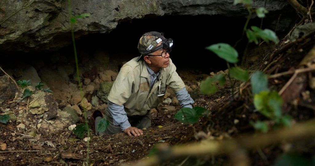 Volunteer Discovers Hundreds of WWII Remains in Japanese Caves