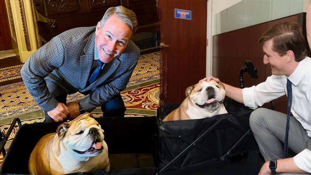 Babydog Justice Unites Senate Across Party Lines on Social Media