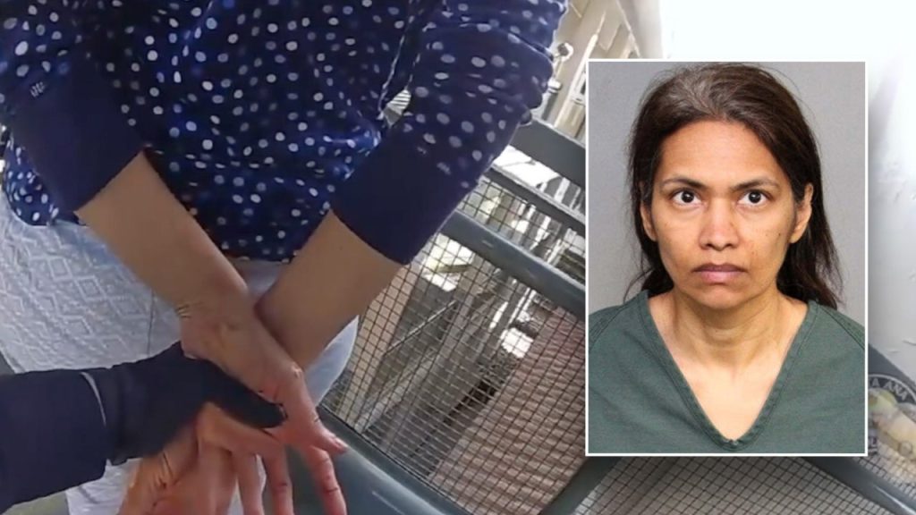 Mother Charged with Killing Son After Disneyland Visit, Video Evidence Revealed Mother Charged with Killing Son After Disneyland Visit, Video Evidence Revealed