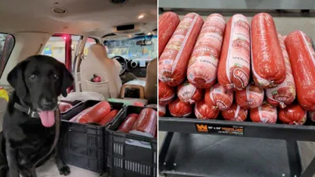 Border Agents in Texas Seize 22 Pounds of Illegal Bologna at Port of Entry