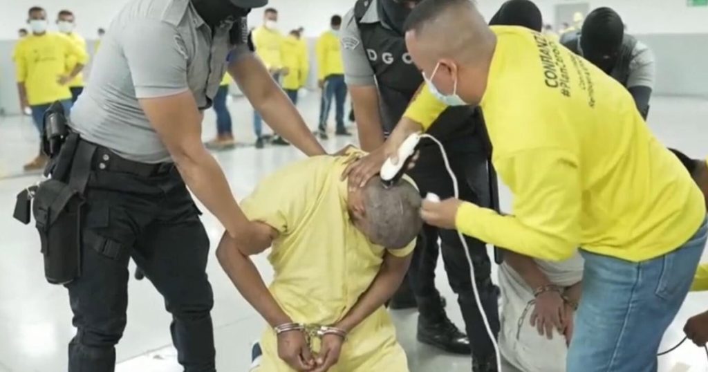 Lawsuit Challenges Trump's War Authority in Deportation Flights