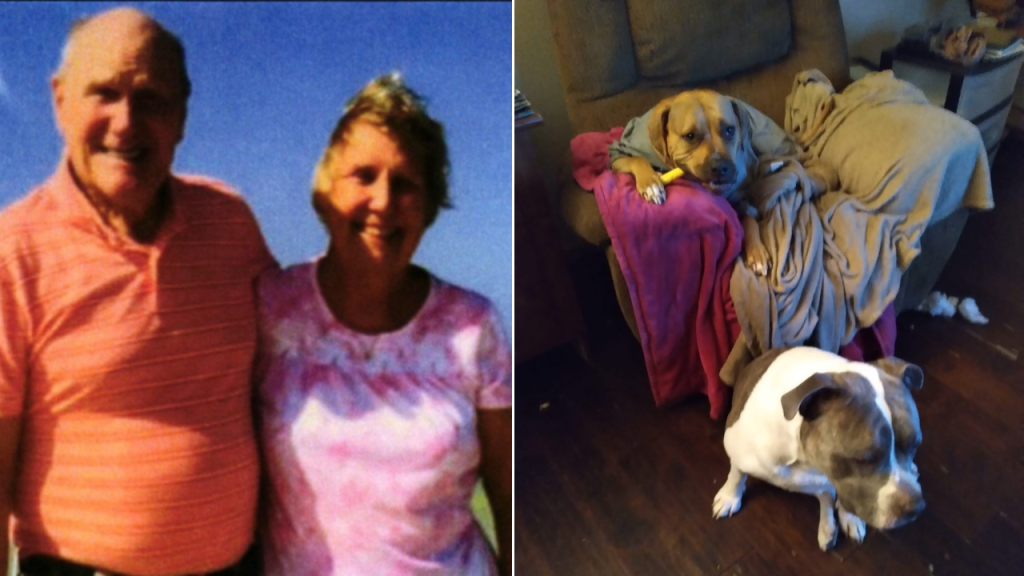 Family of Ohio Grandmother Files Lawsuit Following Fatal Pit Bull Attack