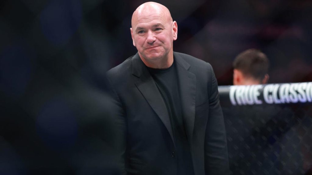 Dana White's Role in TKO Boxing Explained: Current Plans and Future Possibilities