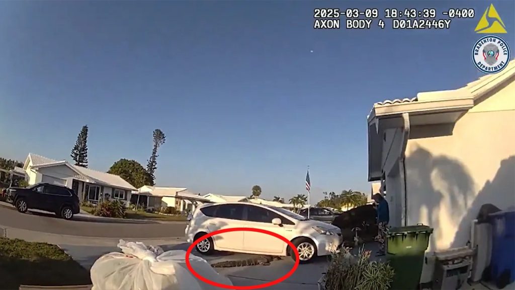 Florida Officer Delivers Pizza After Alligator Encounter in Driveway