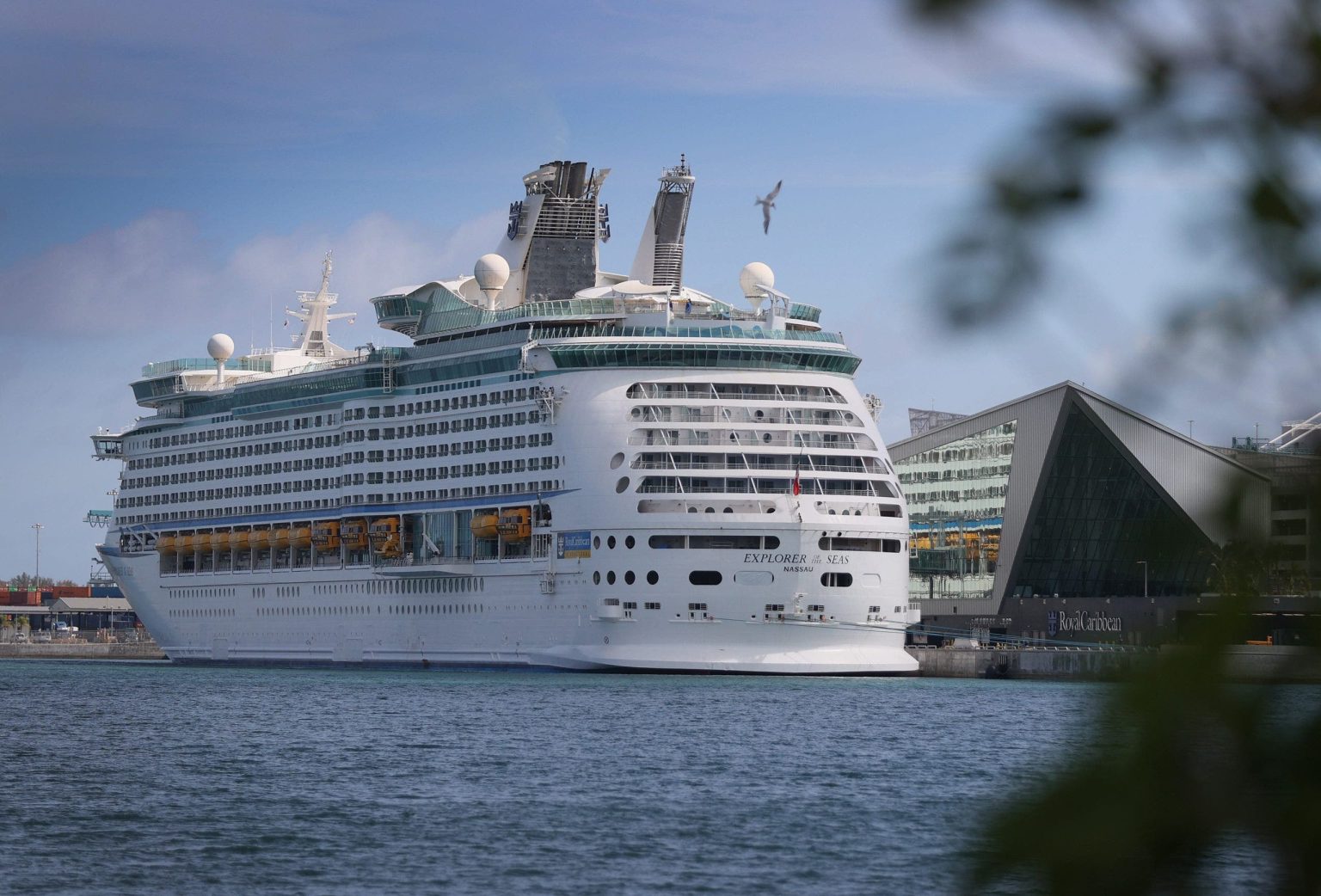 Woman Falls Overboard from Royal Caribbean Ship During '80s-Themed Cruise