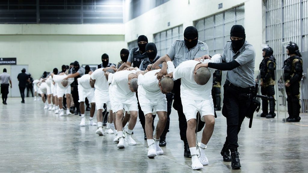 New Insights on Deported Gang Members and Other Major News Updates