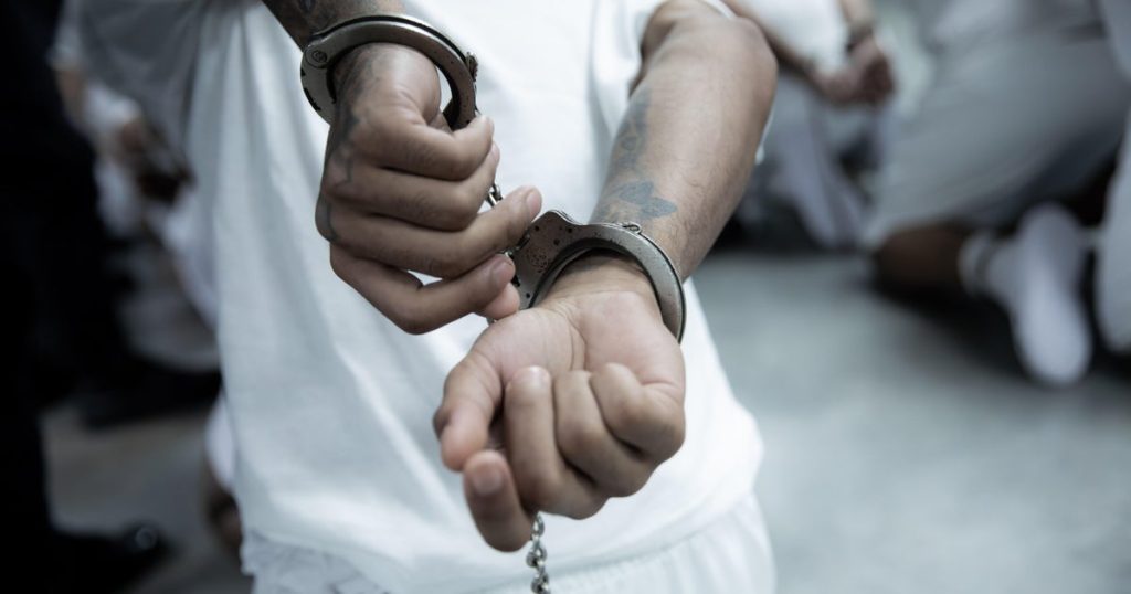 Appeals Court Judge Compares Treatment of Venezuelans to Nazis Under Alien Enemies Act