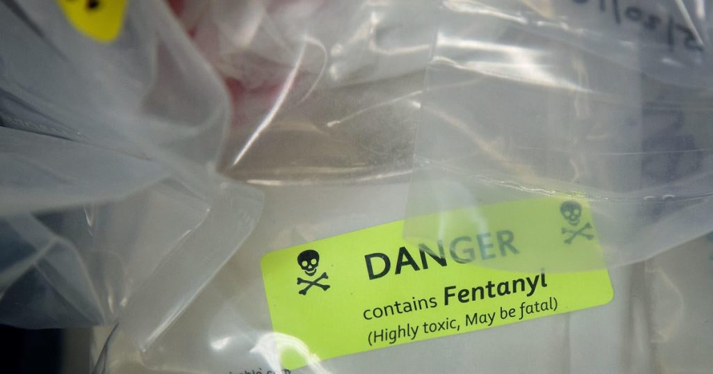 Mexico Seizes 275,000 Fentanyl Pills Hidden in Cactus Shipment to Arizona