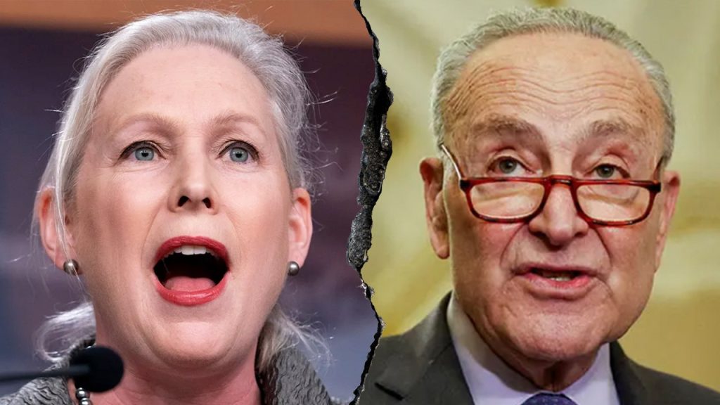 Democratic Party Faces Internal Divisions Amid Political Landscape Shift