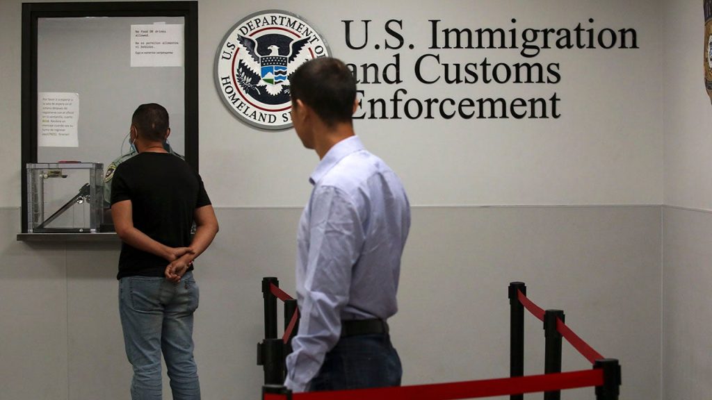 ICE Discloses Criminal Histories of Arrested Mother and Son Amid Controversy in California
