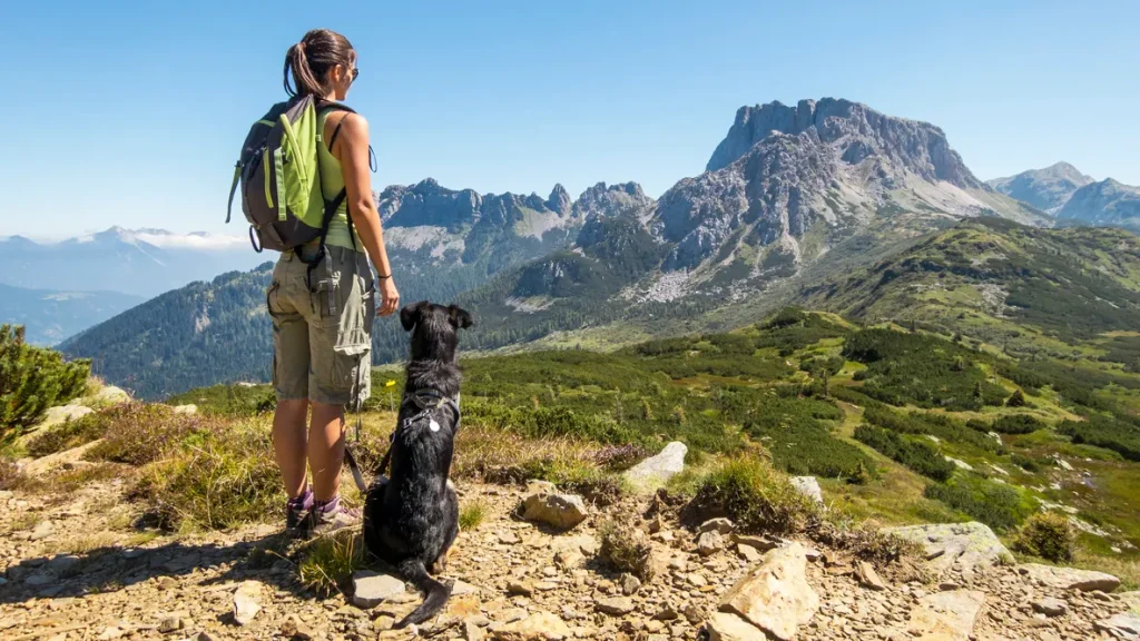 15 Essential Gear Picks for Hiking Season