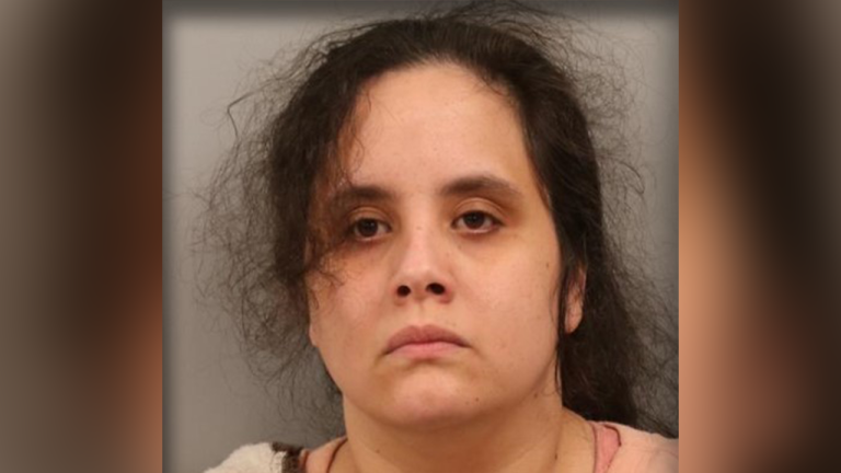 New Jersey Mother Charged with Forcing Child to Wear Dog Shock Collar
