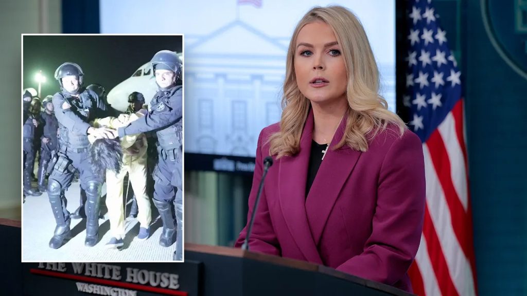 Karoline Leavitt Critiques Judge's Ruling on Deportation Flights
