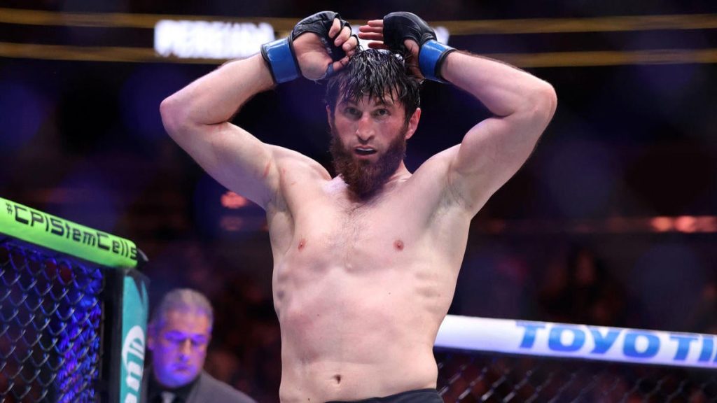 UFC 313: Ankalaev vs. Pereira - Results, Highlights, and Fight Card Overview