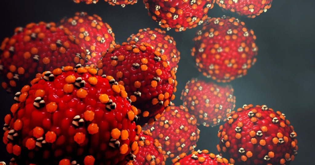 U.N. Warns Americas at Risk of Losing Measles Elimination Status