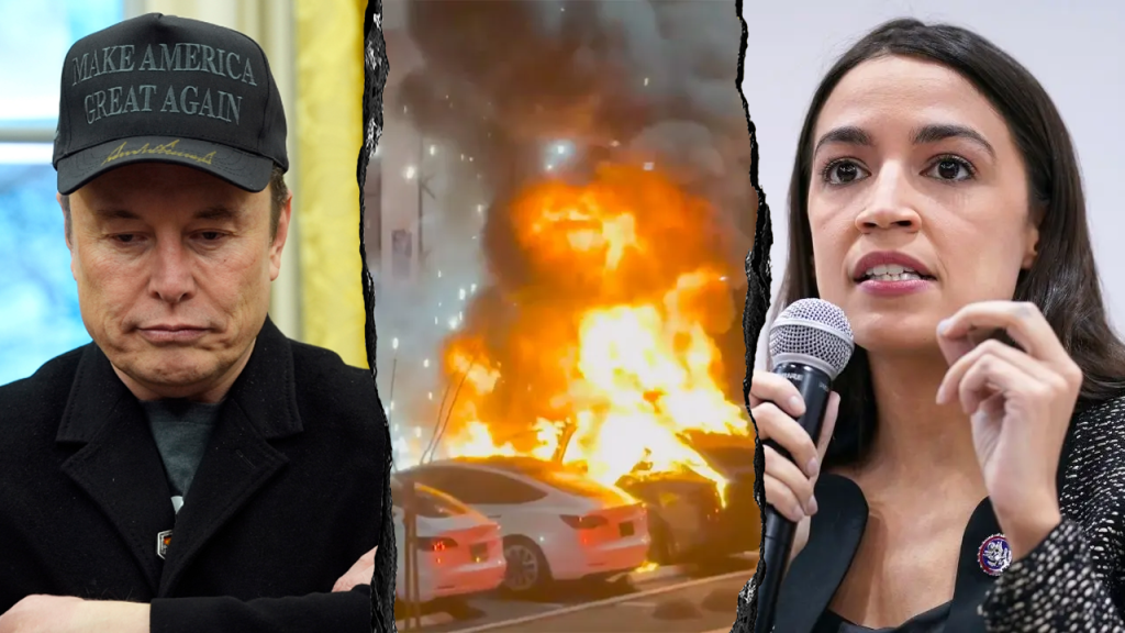 Democrats Continue Investing in Tesla Amid Criticism of Elon Musk