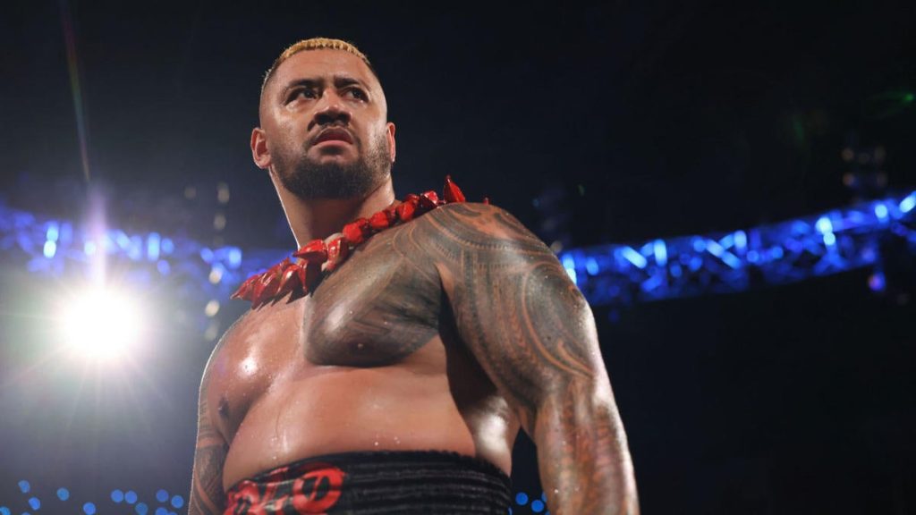 WWE 2025 Predictions: Solo Sikoa's New Bloodline Struggles and John Cena's Retirement Tour