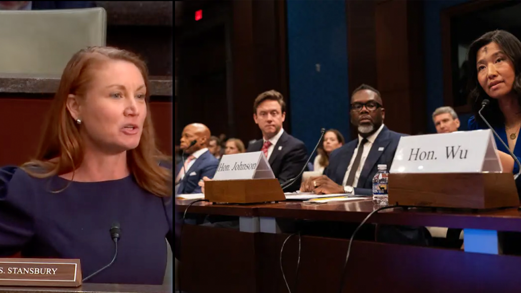 Rep. Stansbury Melts Down with Profanity at Sanctuary City Hearing