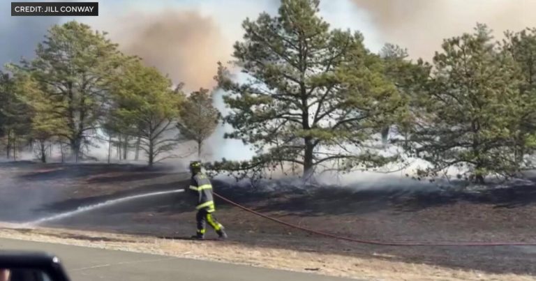 State of Emergency Declared as Crews Fight Multiple Brush Fires on Long Island