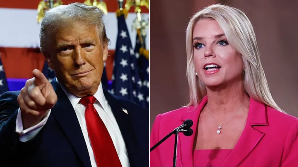 Trump Proposes Financial Penalties for Activist Groups Suing the Government