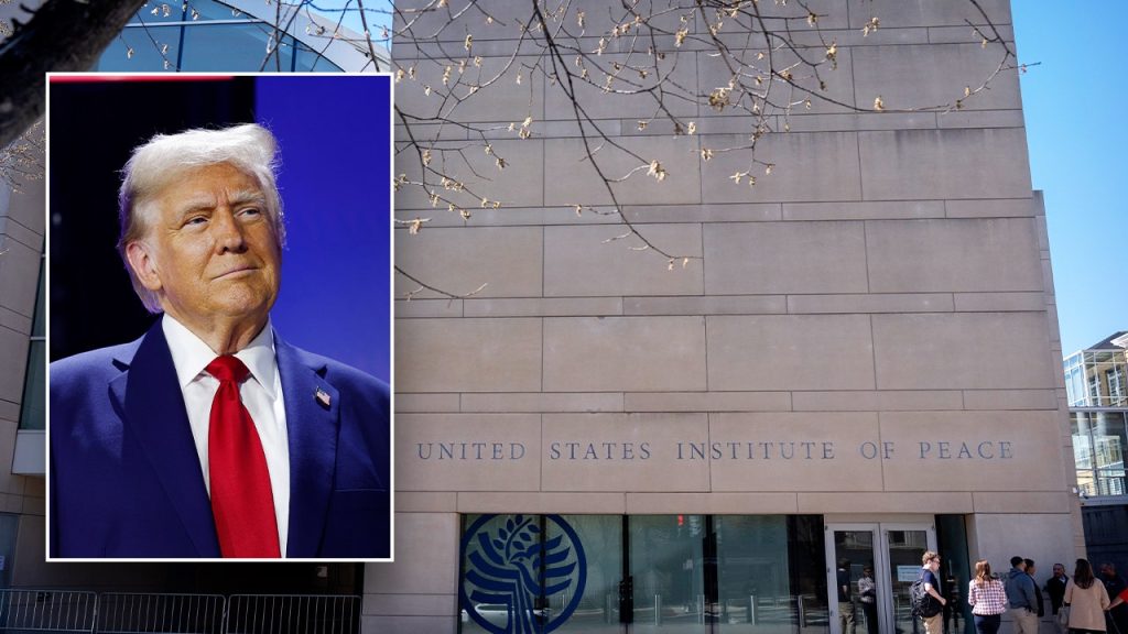 Judge Denies TRO Request by U.S. Institute for Peace Against DOGE