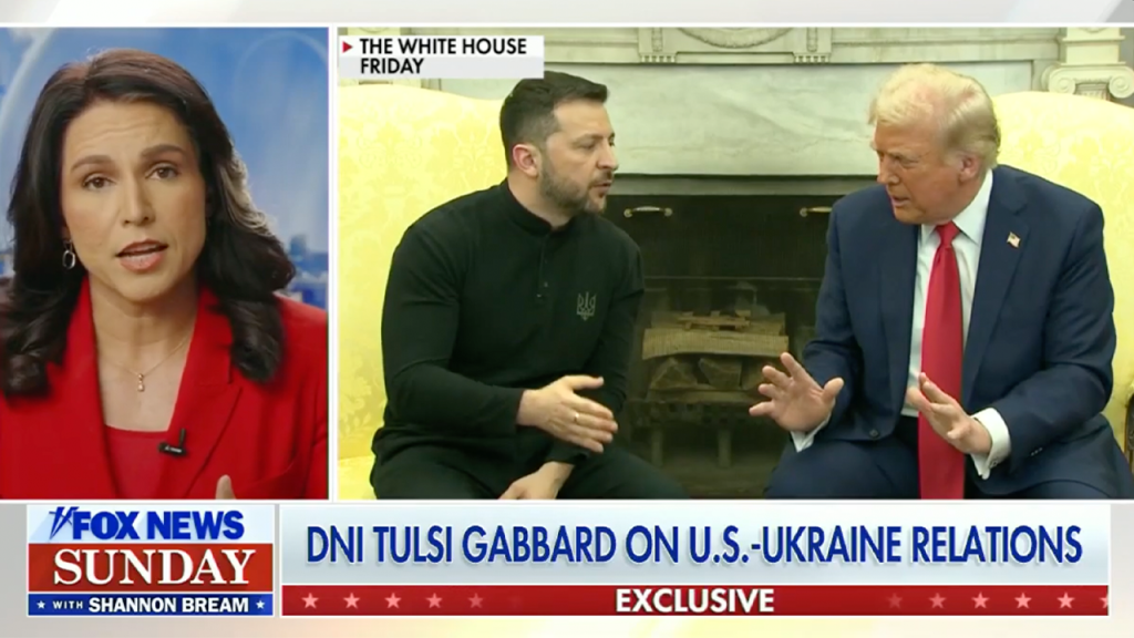 Trump-Zelenskyy Meeting Highlights Europe’s Divergence on Freedom and Peace, Says DNI Gabbard