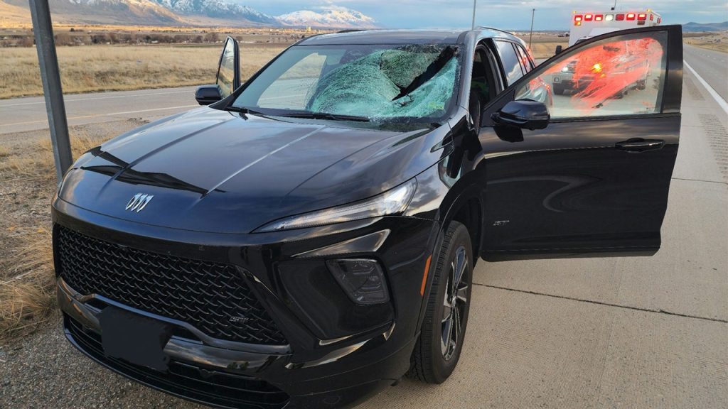 Utah Driver Injured in Interstate Turkey Collision